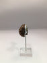 Brass Vintage Earrings